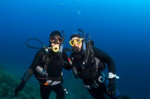 Coral Dive